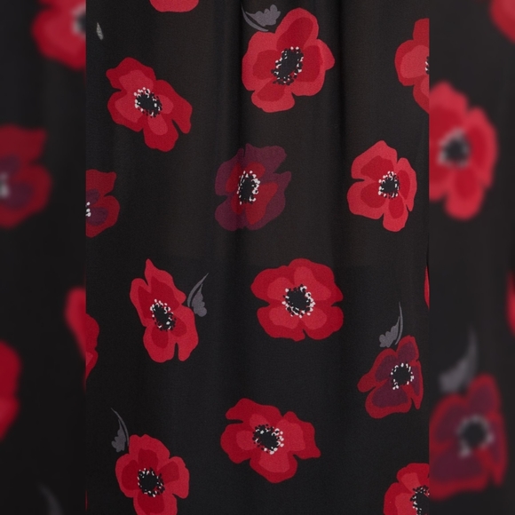 Kate Spade BNWOT Poppy Chiffon dress - Picture 6 of 8
